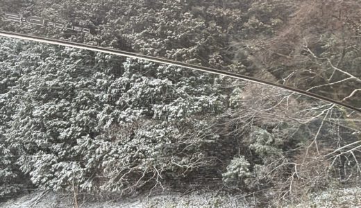 店舗から店舗へ｜現場調査に行ってきました2